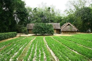 Kinh nghiệm du lịch Vinh