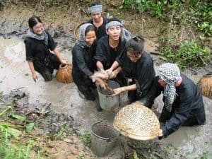 Kinh nghiệm du lịch Vĩnh Long